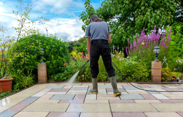 Animal Enclosure Cleaning in Underwood, IA